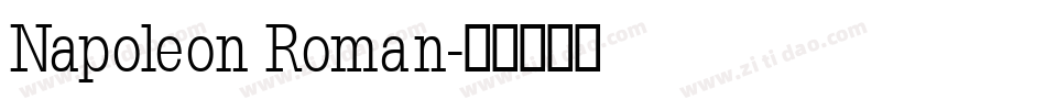 Napoleon Roman字体转换